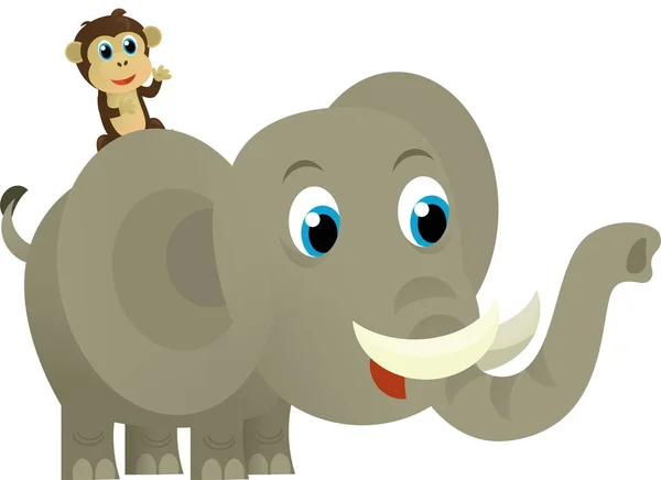 Cartoon wild animal happy young elephant on white background - illustration for the kids