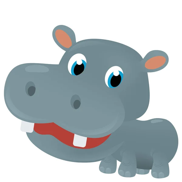 Cena Dos Desenhos Animados Com Feliz Animal Tropical Hipopótamo Hipopótamo — Fotografia de Stock