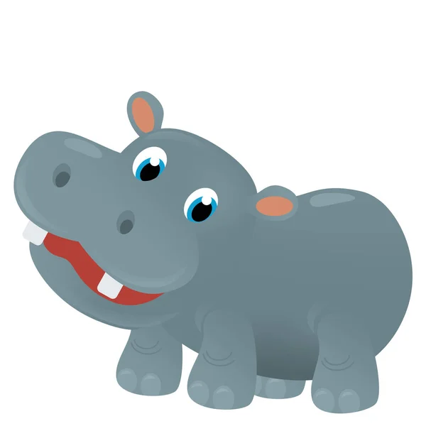 cartoon scene with happy tropical animal hippo hippopotamus on white background safari illustration for kids