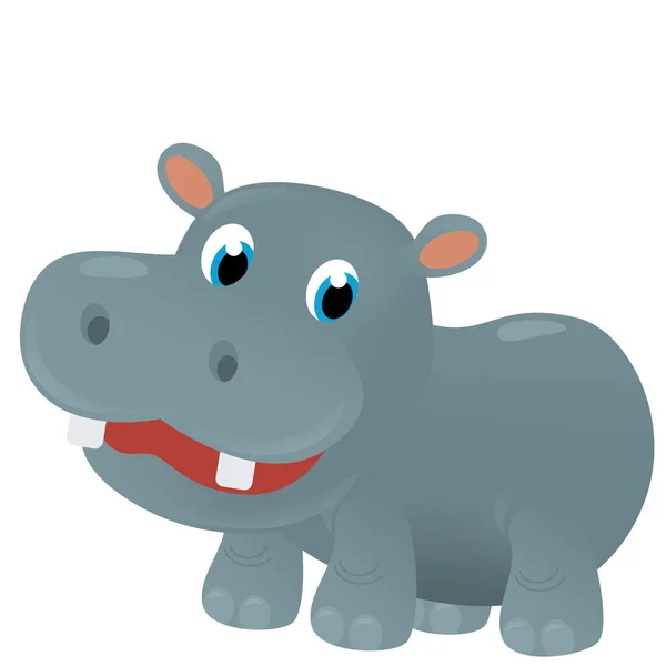 Kreskówka Scena Szczęśliwy Tropikalne Zwierzę Hipopotama Hipopotama Białym Tle Safari — Zdjęcie stockowe