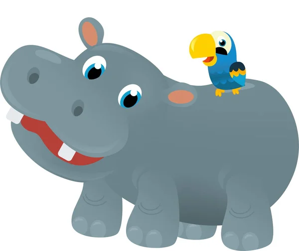 Cartoon Szene Mit Glücklichen Tropischen Nilpferd Nilpferd Und Andere Tiere — Stockfoto