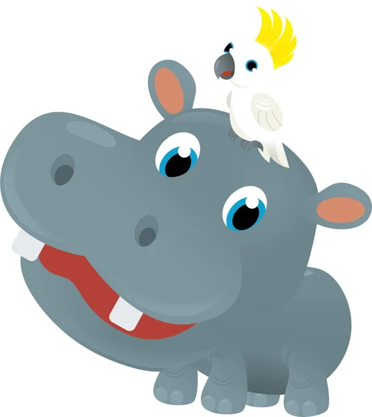 Escena Dibujos Animados Con Hipopótamo Animal Tropical Feliz Hipopótamo Otros —  Fotos de Stock