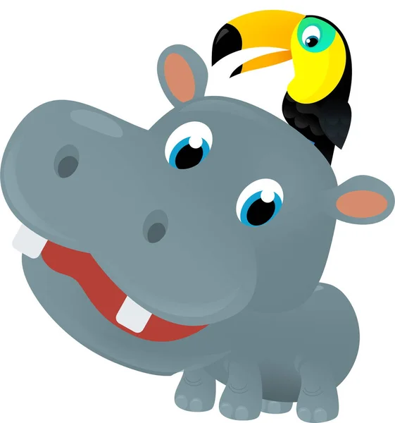 cartoon scene with happy tropical animal hippo hippopotamus and other animal on white background safari illustration for kids