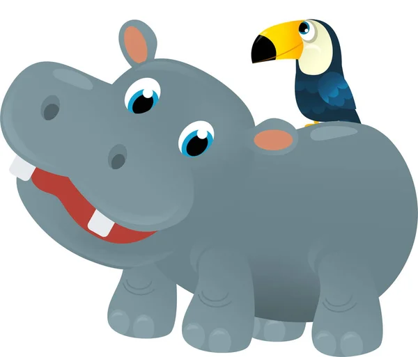 Cartoon Szene Mit Glücklichen Tropischen Nilpferd Nilpferd Und Andere Tiere — Stockfoto