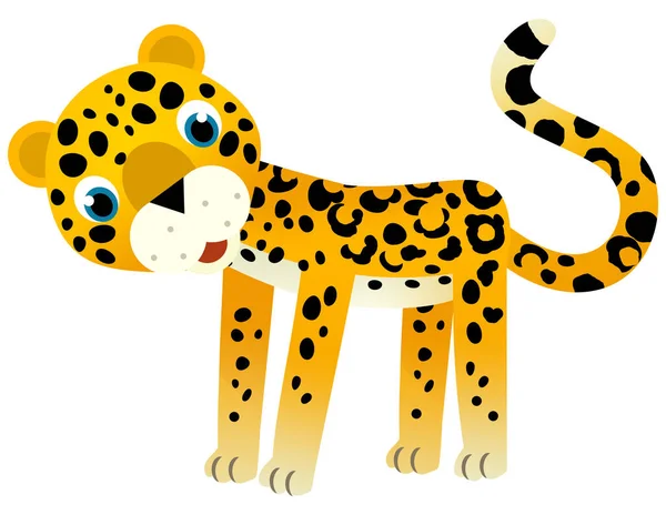 子供のための白い背景のイラストに幸せな熱帯動物の猫のジャガーチーターが付いている漫画のシーン — ストック写真