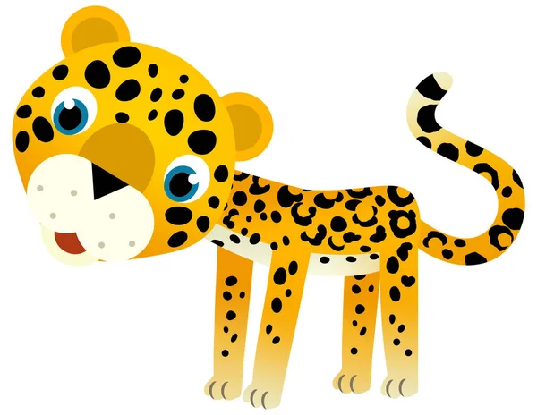Tecknad Scen Med Glada Tropiska Djur Katt Jaguar Gepard Vit — Stockfoto