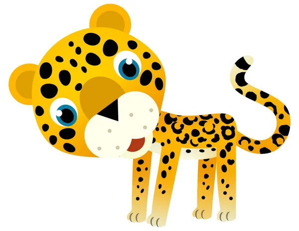卡通片场景与快乐的热带动物猫美洲豹在白色背景图上为孩子们展示 — 图库照片