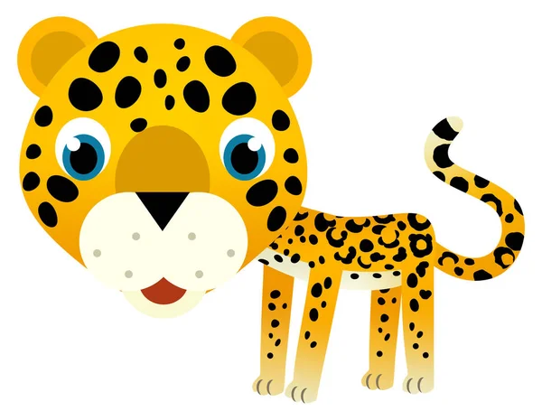 cartoon scene with happy tropical animal cat jaguar cheetah on white background illustration for kids
