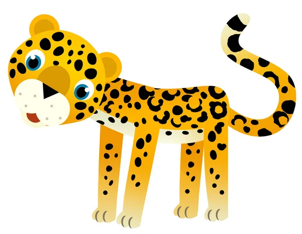 Kreskówka Scena Szczęśliwy Tropikalny Zwierzę Kot Jaguar Gepard Biały Tło — Zdjęcie stockowe