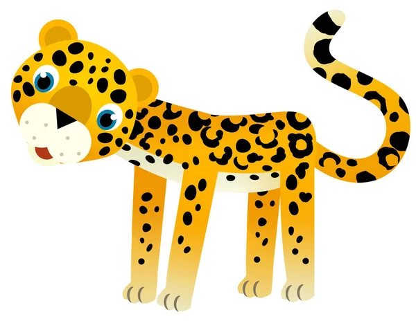 Adegan Kartun Dengan Bahagia Kucing Tropis Jaguar Cheetah Pada Ilustrasi — Stok Foto