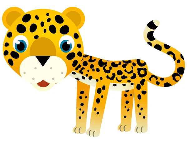 Mutlu Tropikal Kedi Jaguar Çitanın Olduğu Çizgi Film Sahnesi Çocuklar — Stok fotoğraf