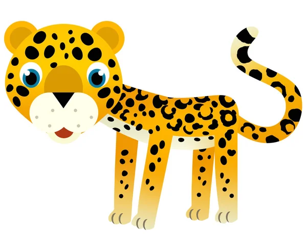 Cartoon Scene Happy Tropical Animal Cat Jaguar Cheetah White Background — Stock Photo, Image