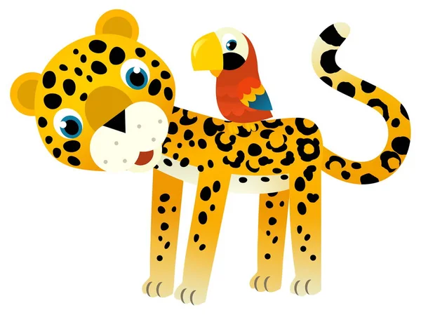 cartoon scene with happy tropical animal cat jaguar cheetah with other animal on white background illustration for kids