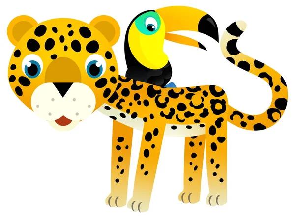 Kreskówka Scena Szczęśliwy Tropikalny Zwierzę Kot Jaguar Gepard Innym Zwierzęciem — Zdjęcie stockowe