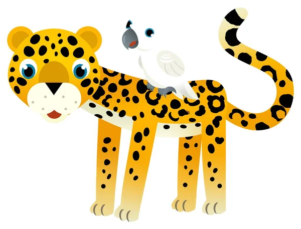 Tecknad Scen Med Glada Tropiska Djur Katt Jaguar Gepard Med — Stockfoto