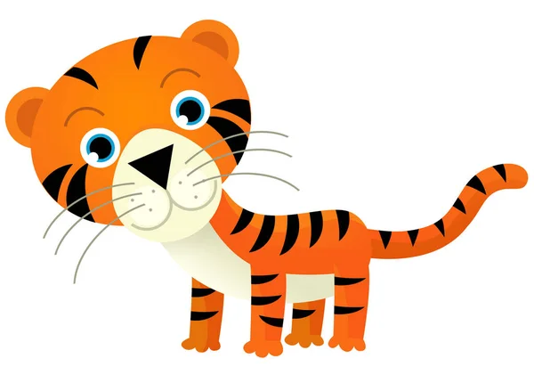 cartoon scene with happy tropical cat tiger on white background illustration for kids