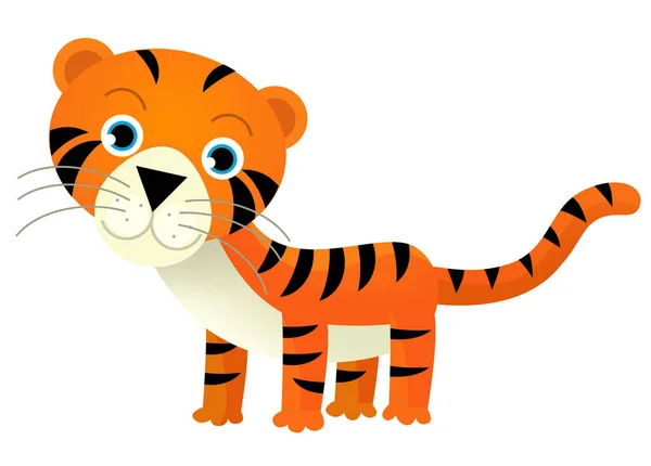 Adegan Kartun Dengan Bahagia Kucing Harimau Tropis Pada Latar Belakang — Stok Foto