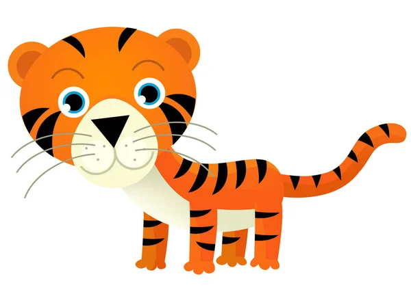 Cena Dos Desenhos Animados Com Tigre Gato Tropical Feliz Fundo — Fotografia de Stock