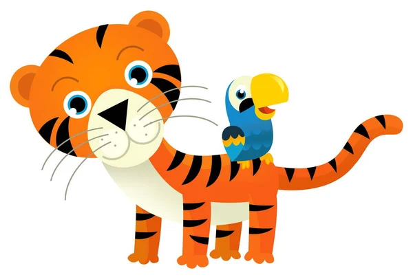 子供のための白い背景のイラストに幸せな熱帯の猫の虎および他の動物が付いている漫画のシーン — ストック写真