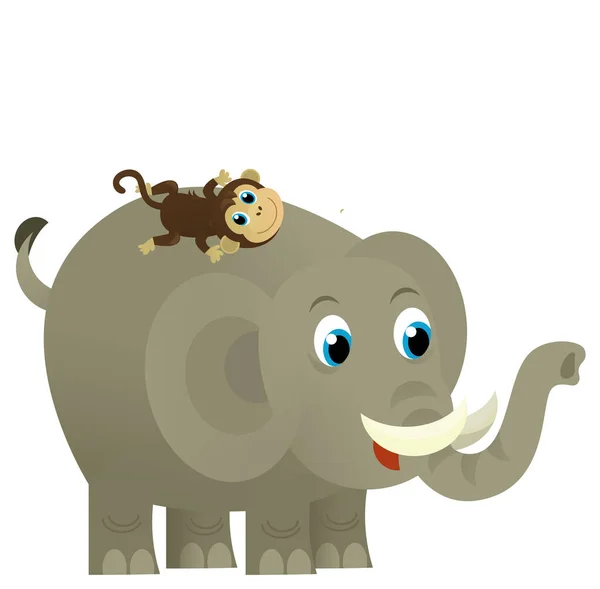 Мультфильм Дикое Животное Счастливый Молодой Слон Другим Другом Животного Белом — стоковое фото