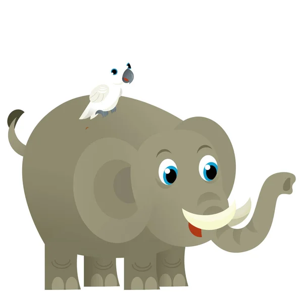 Cartoon Wild Animal Happy Young Elephant Other Animal Friend White — Stock Photo, Image