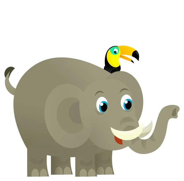 Cartoon Wildes Tier Glücklich Junger Elefant Mit Anderen Tierischen Freund — Stockfoto