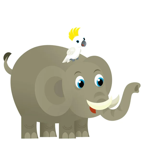 Cartoon Wild Animal Happy Young Elephant Other Animal Friend White — Stock Photo, Image