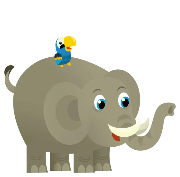 Tecknad Vilda Djur Glad Ung Elefant Med Andra Djur Vän — Stockfoto