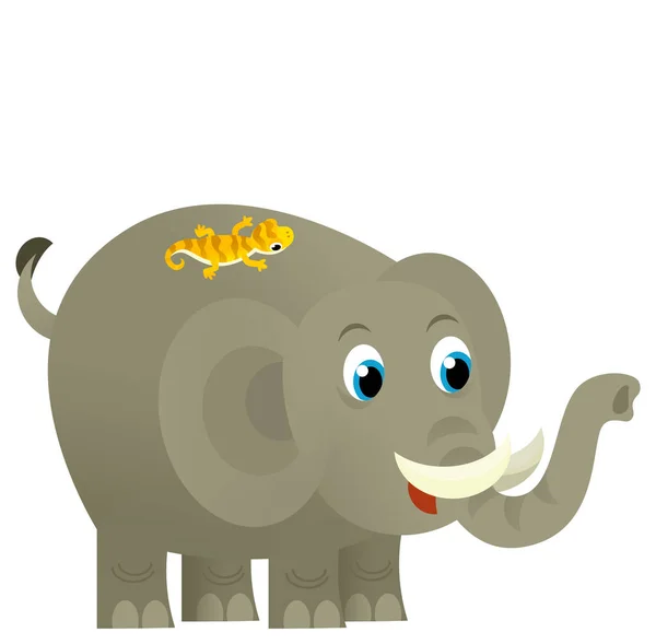 Cartoon Wildes Tier Glücklich Junger Elefant Mit Anderen Tierischen Freund — Stockfoto