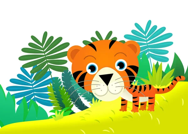 子供のためのジャングル単離されたイラストで幸せな熱帯猫タイガーと漫画のシーン — ストック写真