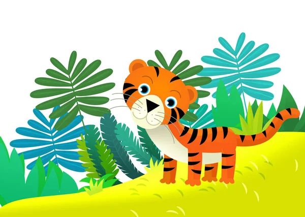 Tegneserie Scene Med Glade Tropiske Kat Tiger Junglen Isoleret Illustration - Stock-foto