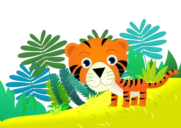 Kreslený Scéna Šťastný Tropický Kočka Tygr Džungli Izolované Ilustrace Pro — Stock fotografie