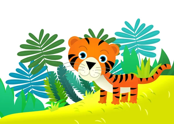 정글에서 고양이 호랑이와 일러스트 — 스톡 사진
