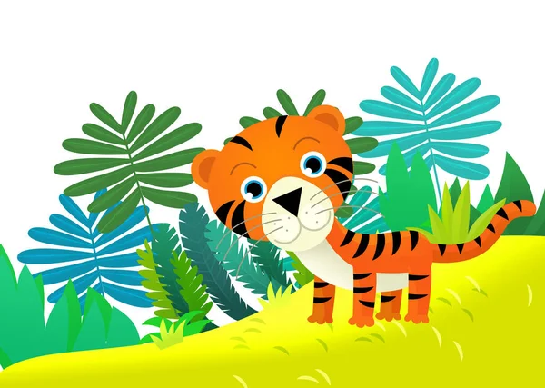 정글에서 고양이 호랑이와 일러스트 — 스톡 사진