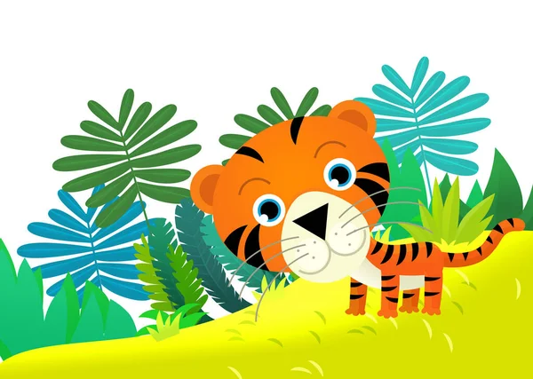 Kreslený Scéna Šťastný Tropický Kočka Tygr Džungli Izolované Ilustrace Pro — Stock fotografie