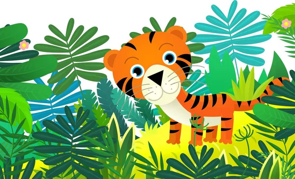 Cartoon Scene Met Gelukkig Tropisch Kat Tijger Jungle Geïsoleerde Illustratie — Stockfoto