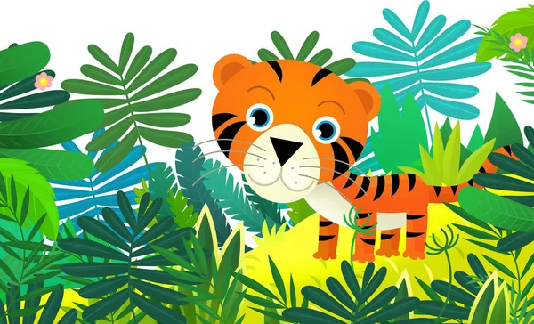 Mutlu Tropikal Kedi Kaplanlı Çizgi Film Sahnesi Çocuklar Için Izole — Stok fotoğraf