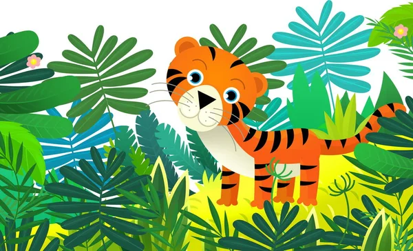 子供のためのジャングル単離されたイラストで幸せな熱帯猫タイガーと漫画のシーン — ストック写真