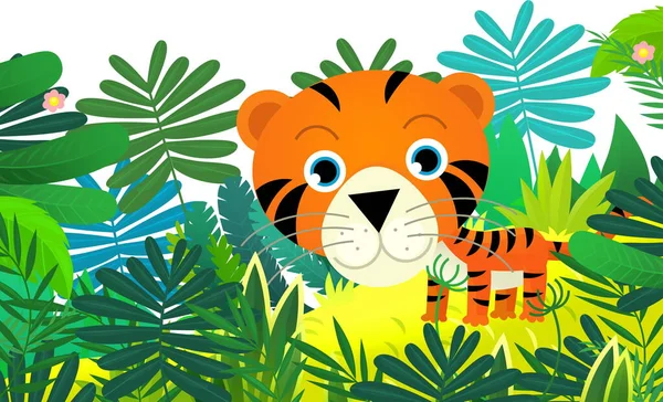 Mutlu Tropikal Kedi Kaplanlı Çizgi Film Sahnesi Çocuklar Için Izole — Stok fotoğraf