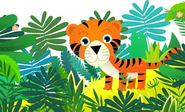 cartoon scene with happy tropical cat tiger in the jungle isolated illustration for kids