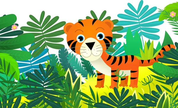 Σκηνή Κινουμένων Σχεδίων Ευτυχισμένη Τροπική Τίγρη Γάτα Στη Ζούγκλα Απομονωμένη — Φωτογραφία Αρχείου