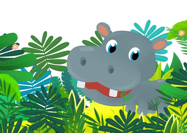 Dessin Animé Animal Sauvage Heureux Jeune Hippopotame Dans Jungle Illustration — Photo