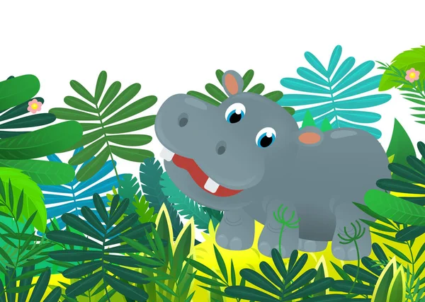 Cartoon Wild Animal Happy Young Hippo Hippopotamus Jungle Isolated Illustration — Stock Photo, Image
