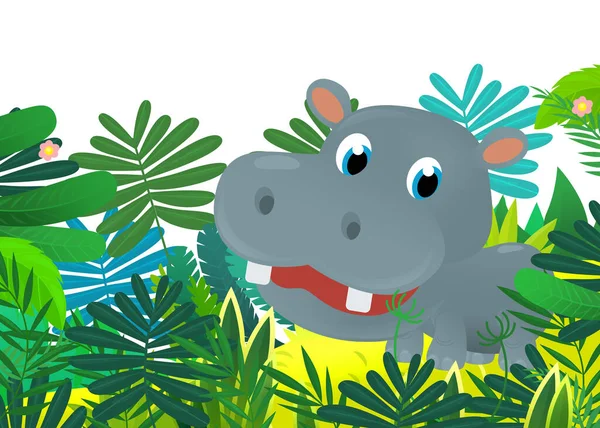 Dibujos Animados Animal Salvaje Feliz Joven Hipopótamo Hipopótamo Selva Aislado — Foto de Stock