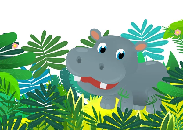 Desenhos Animados Animal Selvagem Feliz Jovem Hipopótamo Hipopótamo Selva Ilustração — Fotografia de Stock
