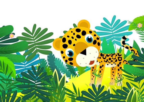 Мультяшная Сцена Веселым Тропическим Животным Ягуаром Гепардом Джунглях Изолированная Иллюстрация — стоковое фото