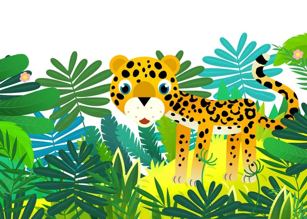 Мультяшная Сцена Веселым Тропическим Животным Ягуаром Гепардом Джунглях Изолированная Иллюстрация — стоковое фото