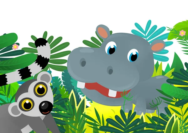 Cartoon wild animal happy young hippo  hippopotamus in the jungle isolated illustration for kids