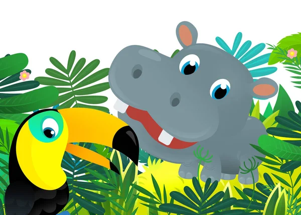 Cartoon Wild Dier Gelukkig Jong Nijlpaard Nijlpaard Jungle Geïsoleerde Illustratie — Stockfoto
