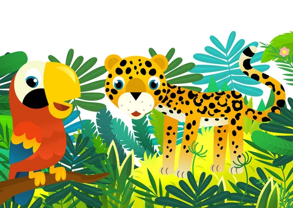 cartoon scene with happy tropical animal cat jaguar cheetah in the jungle isolated illustration for kids